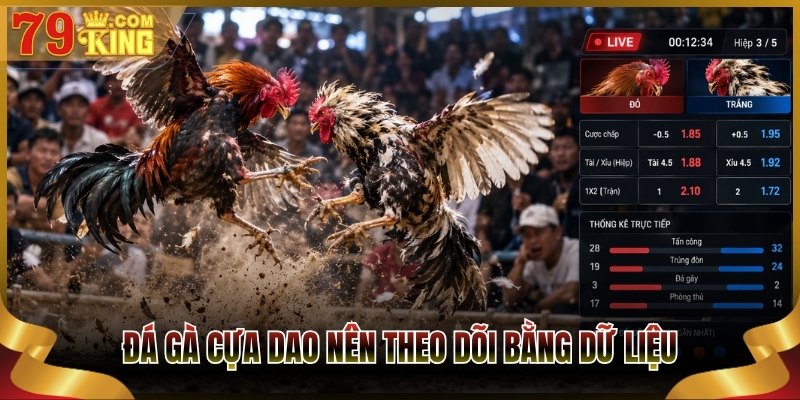 Đá gà cựa dao nên theo dõi bằng dữ liệu, tránh cảm tính