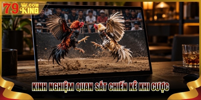 Kinh nghiệm quan sát chiến kê khi cược