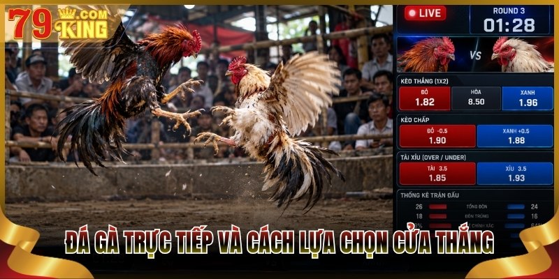 Đá gà trực tiếp và cách lựa chọn cửa thắng