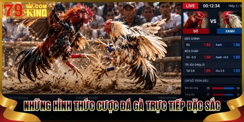 Những hình thức cược đá gà trực tiếp đặc sắc