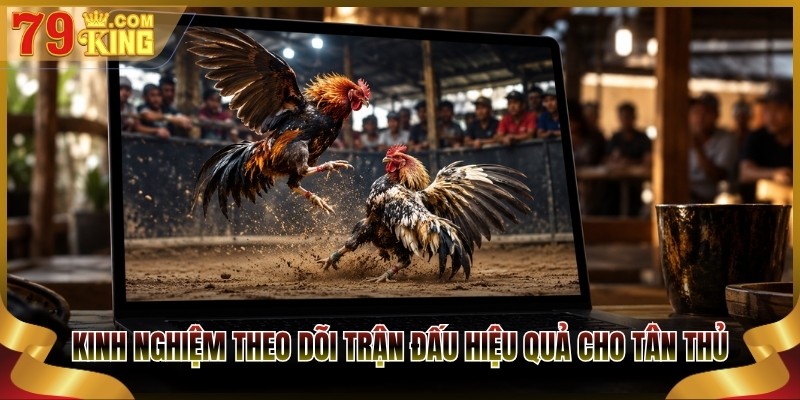 Kinh nghiệm theo dõi trận đấu hiệu quả cho tân thủ