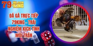 Đá Gà Trực Tiếp