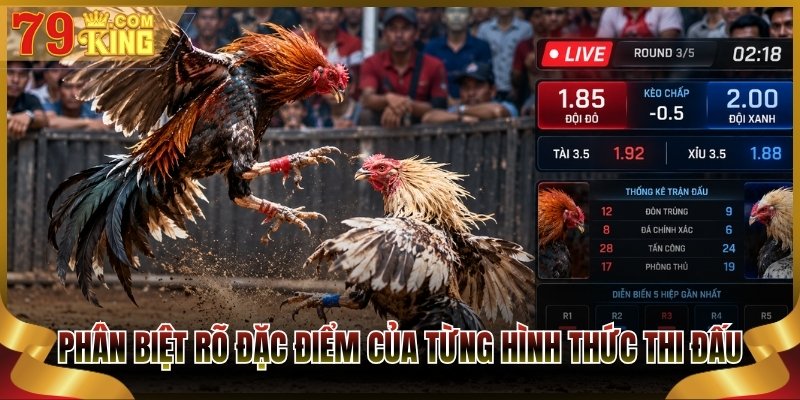 Phân biệt rõ đặc điểm của từng hình thức thi đấu phổ biến